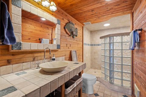 Tiny photo for W3385 & W3380 Orchard Avenue, Green Lake, WI 54941 (MLS # 2009446)