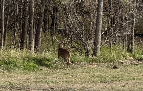 Photo of 40 AC County Road U, Portage, WI 53901 (MLS # 2014504)