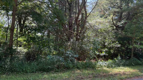 Photo of .27 Acre Lot Gem Court, Wisconsin Dells, WI 53965 (MLS # 2028521)