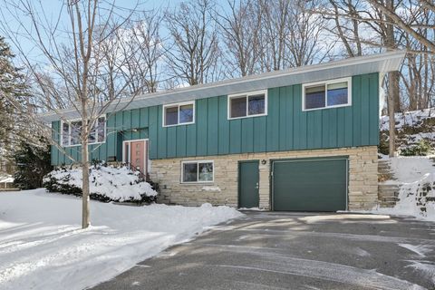 Photo of 231 Du Rose Terrace, Madison, WI 53705 (MLS # 2018449)