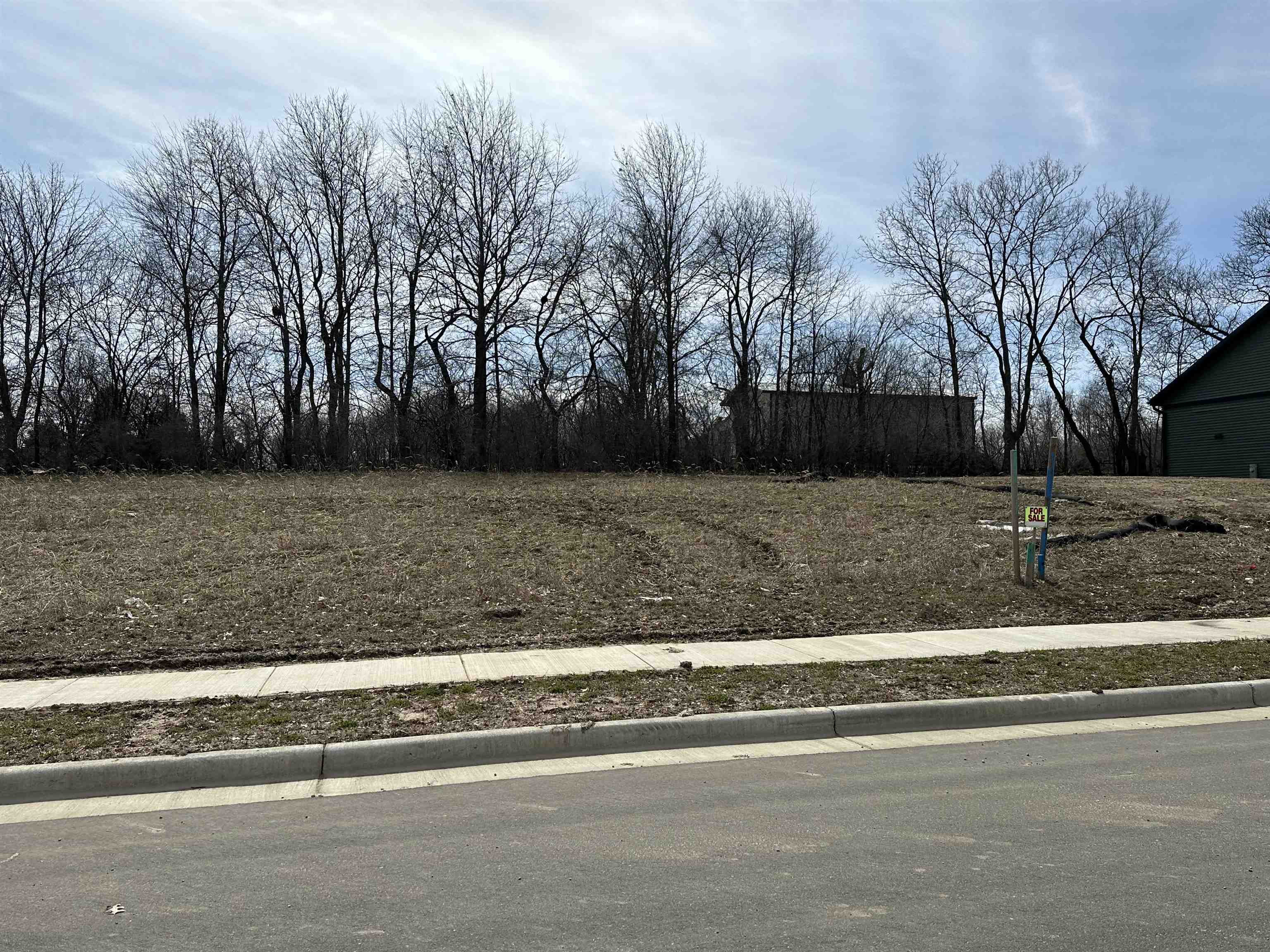 Stoughton, Wisconsin 53589, United States, ,Land,Active,54146