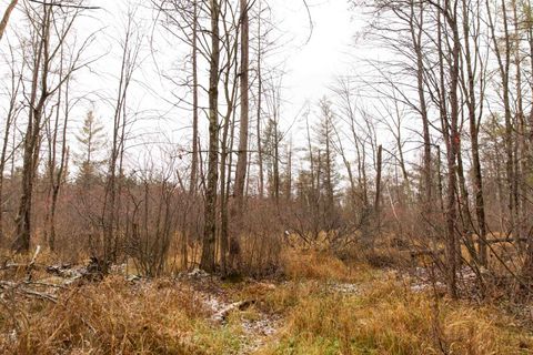 Tiny photo for N5301 County Rd Y Road, Montello, WI 53949 (MLS # 2013144)