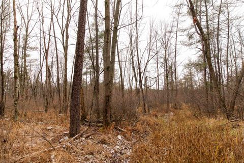 Tiny photo for N5301 County Rd Y Road, Montello, WI 53949 (MLS # 2013144)