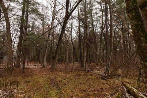 Tiny photo for N5301 County Rd Y Road, Montello, WI 53949 (MLS # 2013144)