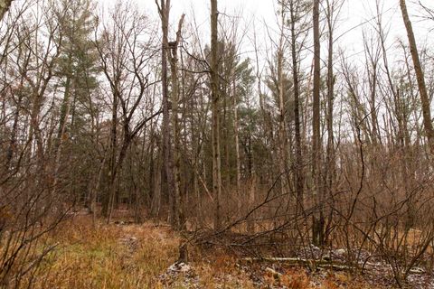 Tiny photo for N5301 County Rd Y Road, Montello, WI 53949 (MLS # 2013144)