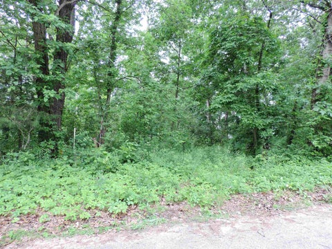 Photo of 17840 Circle Drive, Boscobel, WI 53805 (MLS # 2026278)
