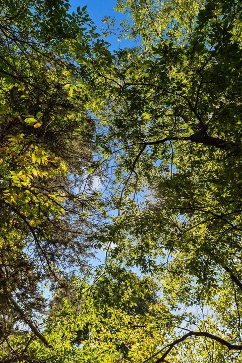 Tiny photo for W2186 Eric Road, Markesan, WI 53946 (MLS # 2009060)