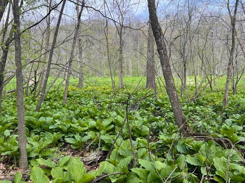 Tiny photo for W2186 Eric Road, Markesan, WI 53946 (MLS # 2009060)