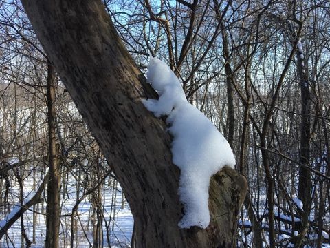 Tiny photo for W2186 Eric Road, Markesan, WI 53946 (MLS # 2009060)