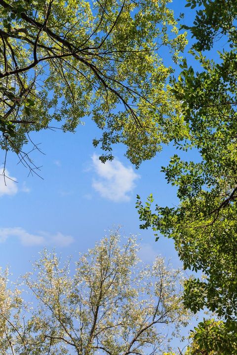 Tiny photo for W2186 Eric Road, Markesan, WI 53946 (MLS # 2009060)