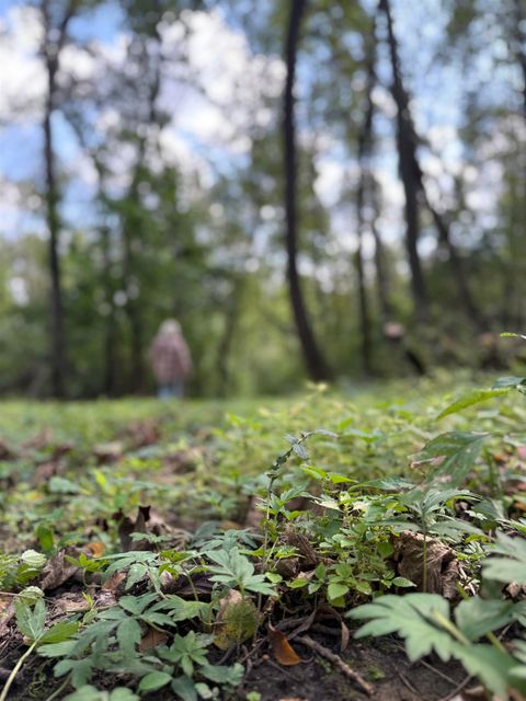 Tiny photo for W2186 Eric Road, Markesan, WI 53946 (MLS # 2009060)