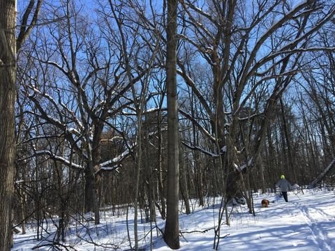 Tiny photo for W2186 Eric Road, Markesan, WI 53946 (MLS # 2009060)