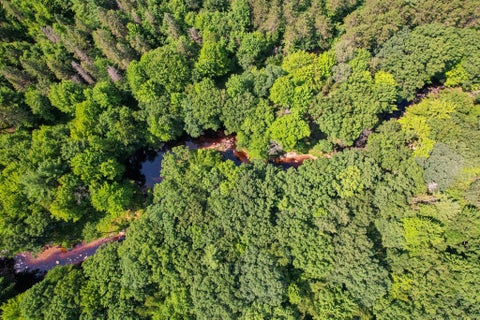 Photo of 11901 Sparks Road, Pittsville, WI 54466 (MLS # 2032434)
