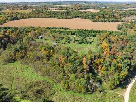 Photo of W4351 Anglim Road, Lyndon Station, WI 53944 (MLS # 2034371)
