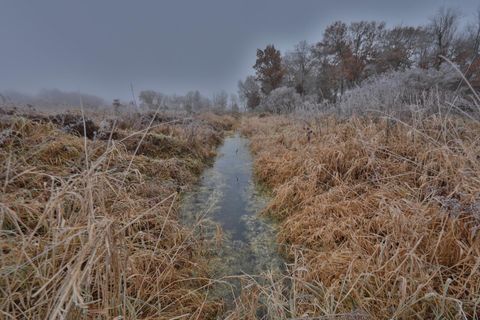 Tiny photo for N8510 Fish Road, New Lisbon, WI 53950 (MLS # 2012949)