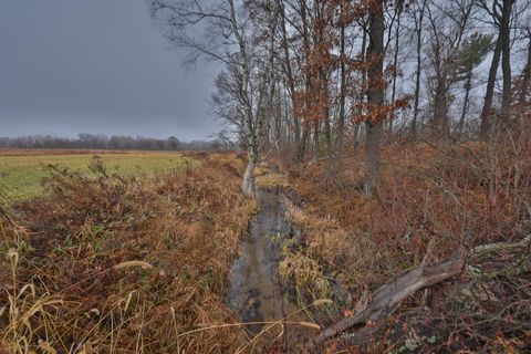 Tiny photo for N8510 Fish Road, New Lisbon, WI 53950 (MLS # 2012949)