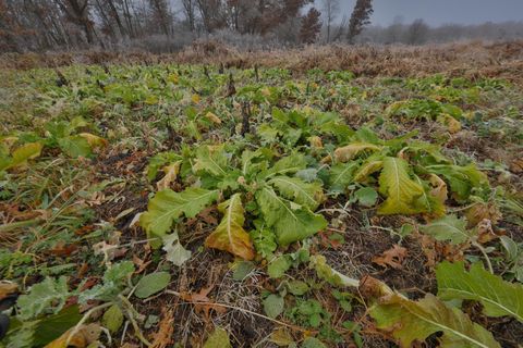 Tiny photo for N8510 Fish Road, New Lisbon, WI 53950 (MLS # 2012949)