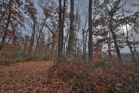 Tiny photo for N8510 Fish Road, New Lisbon, WI 53950 (MLS # 2012949)