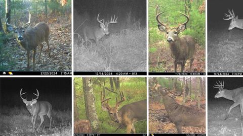 Tiny photo for N8510 Fish Road, New Lisbon, WI 53950 (MLS # 2012949)