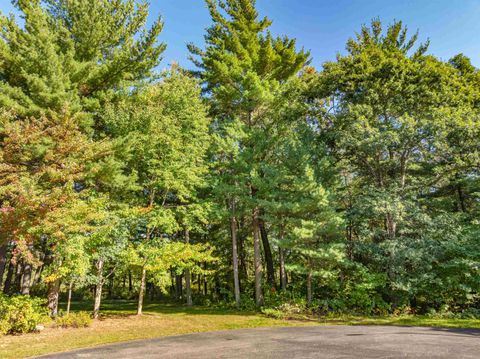 Photo of 199 Cliffside Drive, Wisconsin Dells, WI 53965 (MLS # 2008760)