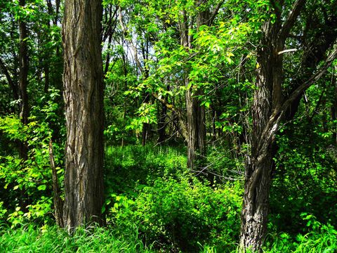 Tiny photo for 1129 Ember Drive, Adams, WI 53910 (MLS # 2000550)