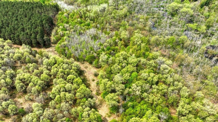 Photo 1 of 36 — Lot 14 W 6th Drive, Hancock, WI 54943