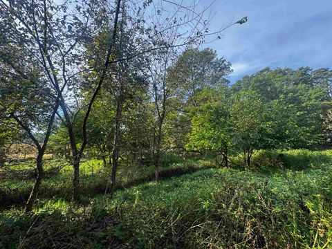 Tiny photo for N2644 County Road O, Oxford, WI 53952 (MLS # 2009819)