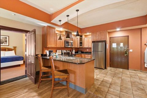 Tiny photo for 2411 River Road 2219 #2219, Wisconsin Dells, WI 53965 (MLS # 2012551)