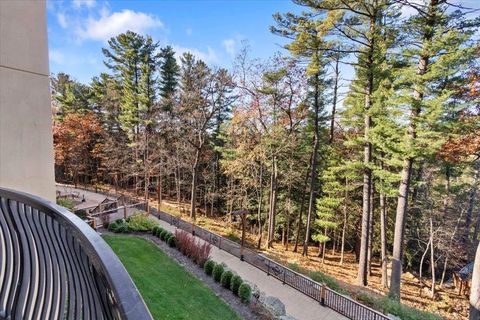 Tiny photo for 2411 River Road 2219 #2219, Wisconsin Dells, WI 53965 (MLS # 2012551)