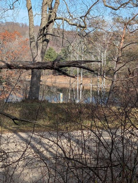 Tiny photo for L221 Black Forest Drive, La Valle, WI 53941 (MLS # 2013064)