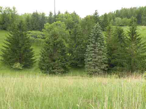 Featured picture for the property 1737549