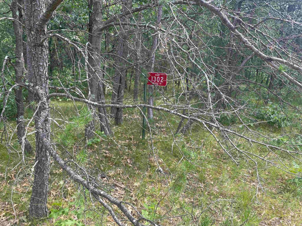 Photo for 1302 Birdie Trail, Nekoosa, WI 54457 (MLS # 2006226)