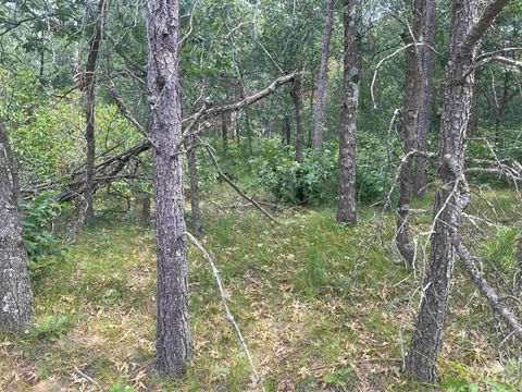 Tiny photo for 1302 Birdie Trail, Nekoosa, WI 54457 (MLS # 2006226)