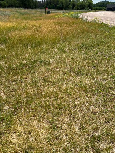 Photo of 16990 Impact Road, Sparta, WI 54656 (MLS # 2025248)