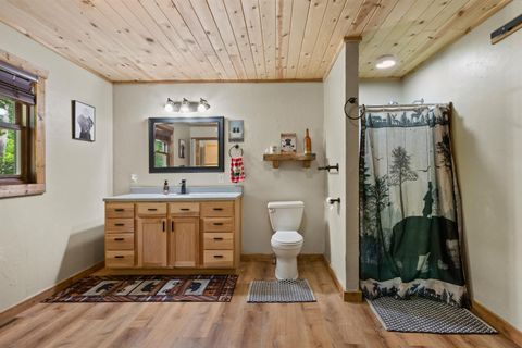 Tiny photo for 1132 Apache Avenue, Nekoosa, WI 54457 (MLS # 2004286)