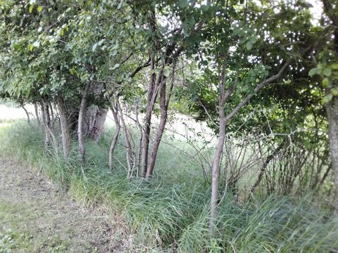 Tiny photo for W3021 County Road C, Montello, WI 53949 (MLS # 2004977)
