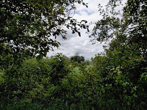 Tiny photo for W3021 County Road C, Montello, WI 53949 (MLS # 2004977)