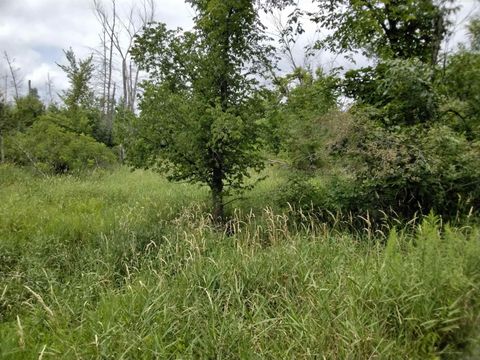 Tiny photo for W3021 County Road C, Montello, WI 53949 (MLS # 2004977)