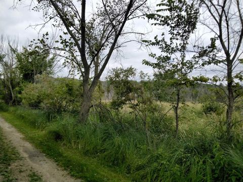 Tiny photo for W3021 County Road C, Montello, WI 53949 (MLS # 2004977)