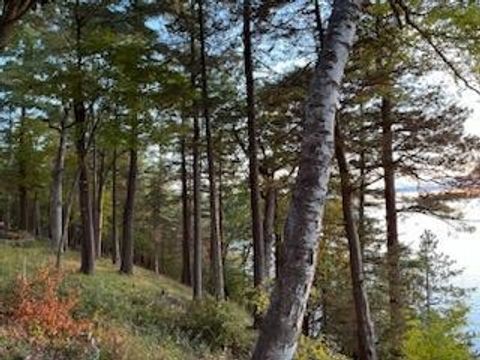 Tiny photo for L2 Oakwood Avenue, Green Lake, WI 54941 (MLS # 1987548)