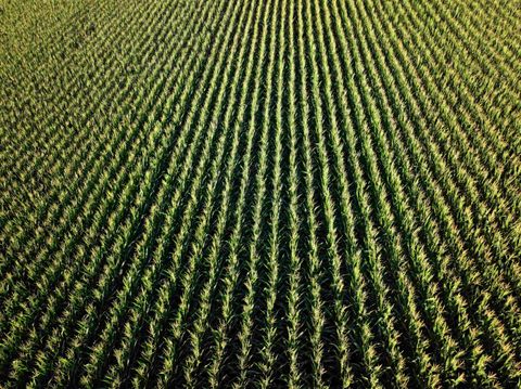 Tiny photo for 92.14 M/L Acres Highway 78, Mount Horeb, WI 53572 (MLS # 2005473)