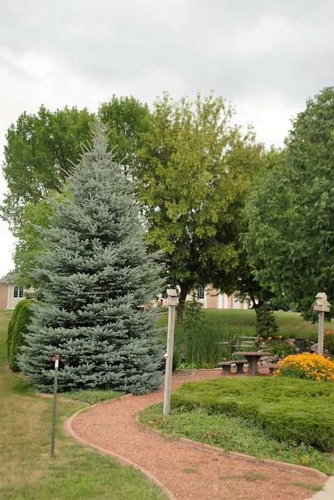 Tiny photo for 742 Kensington Drive, Ripon, WI 54971 (MLS # 2009166)