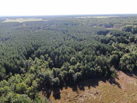 Tiny photo for 80 AC 9th Acres, Adams, WI 53910 (MLS # 2009944)