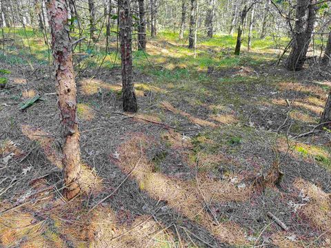 Tiny photo for 80 AC 9th Acres, Adams, WI 53910 (MLS # 2009944)