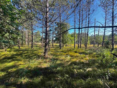 Tiny photo for 80 AC 9th Acres, Adams, WI 53910 (MLS # 2009944)