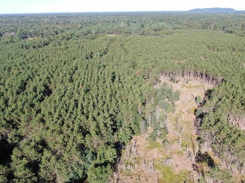 Tiny photo for 80 AC 9th Acres, Adams, WI 53910 (MLS # 2009944)