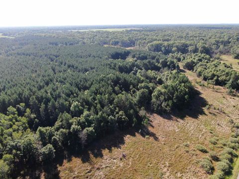 Tiny photo for 80 AC 9th Acres, Adams, WI 53910 (MLS # 2009944)
