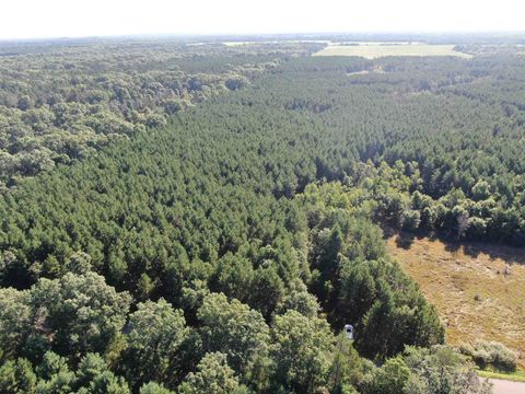 Tiny photo for 80 AC 9th Acres, Adams, WI 53910 (MLS # 2009944)