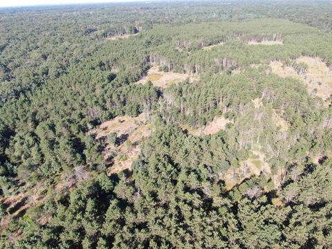 Tiny photo for 80 AC 9th Acres, Adams, WI 53910 (MLS # 2009944)