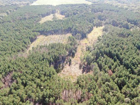 Tiny photo for 80 AC 9th Acres, Adams, WI 53910 (MLS # 2009944)